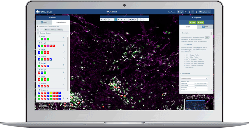 cellprofiler python cellprofiler python
