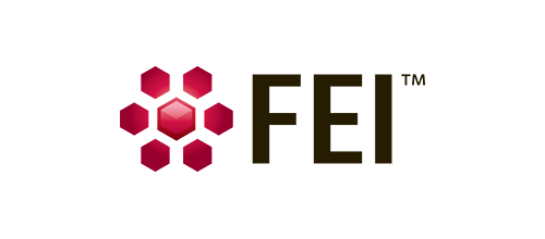 FEI - Amira