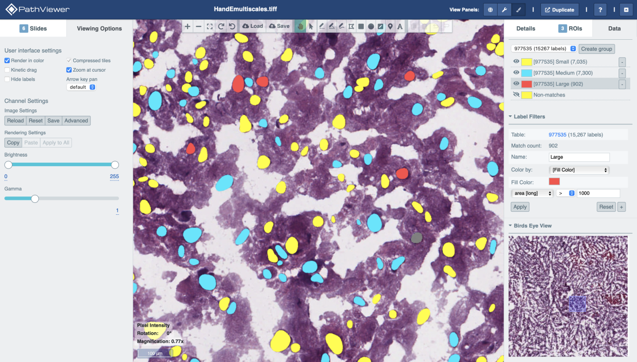 PathViewer logomark on laptop