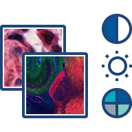 brightfield and fluorescence images with brightness and contrast icons